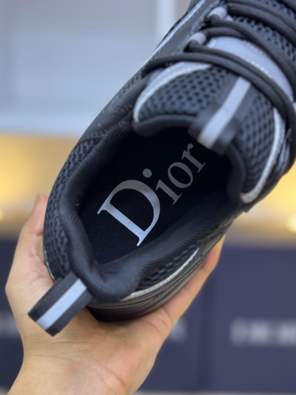 DIOR B22