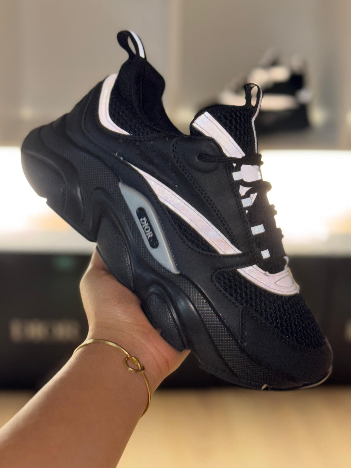 DIOR B22