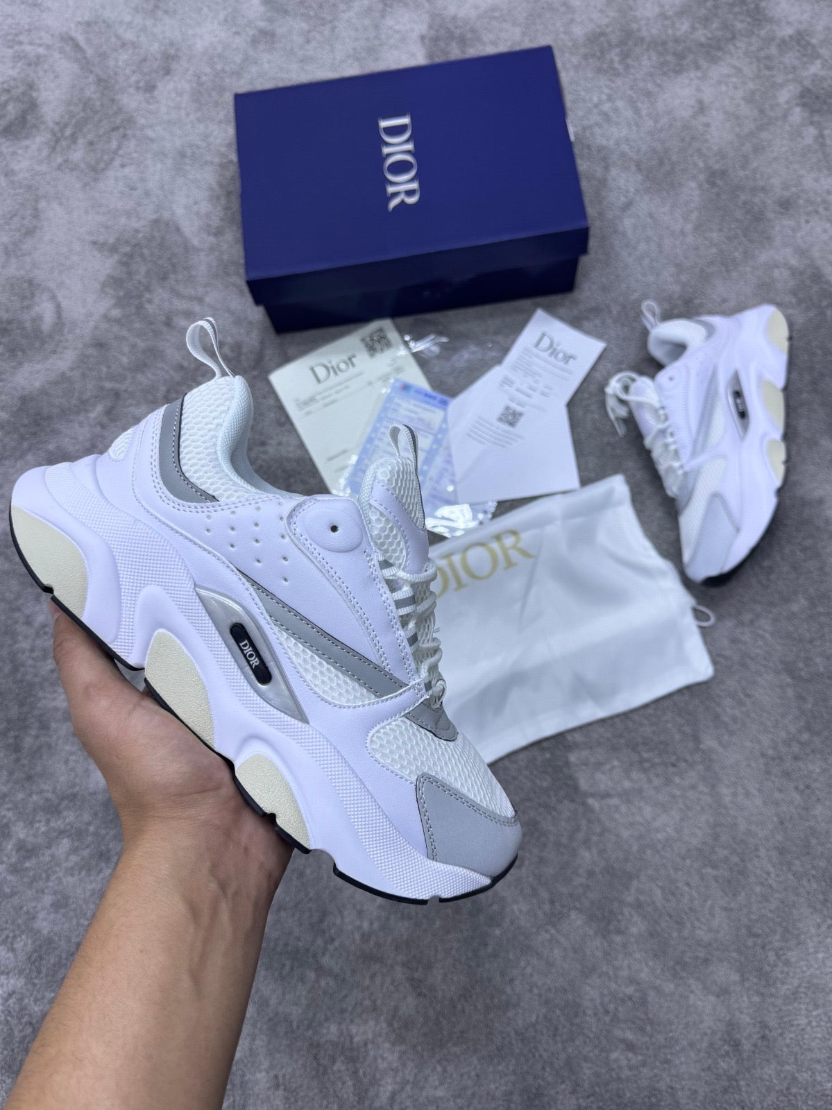 DIOR B22