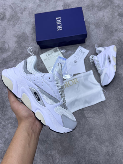 DIOR B22