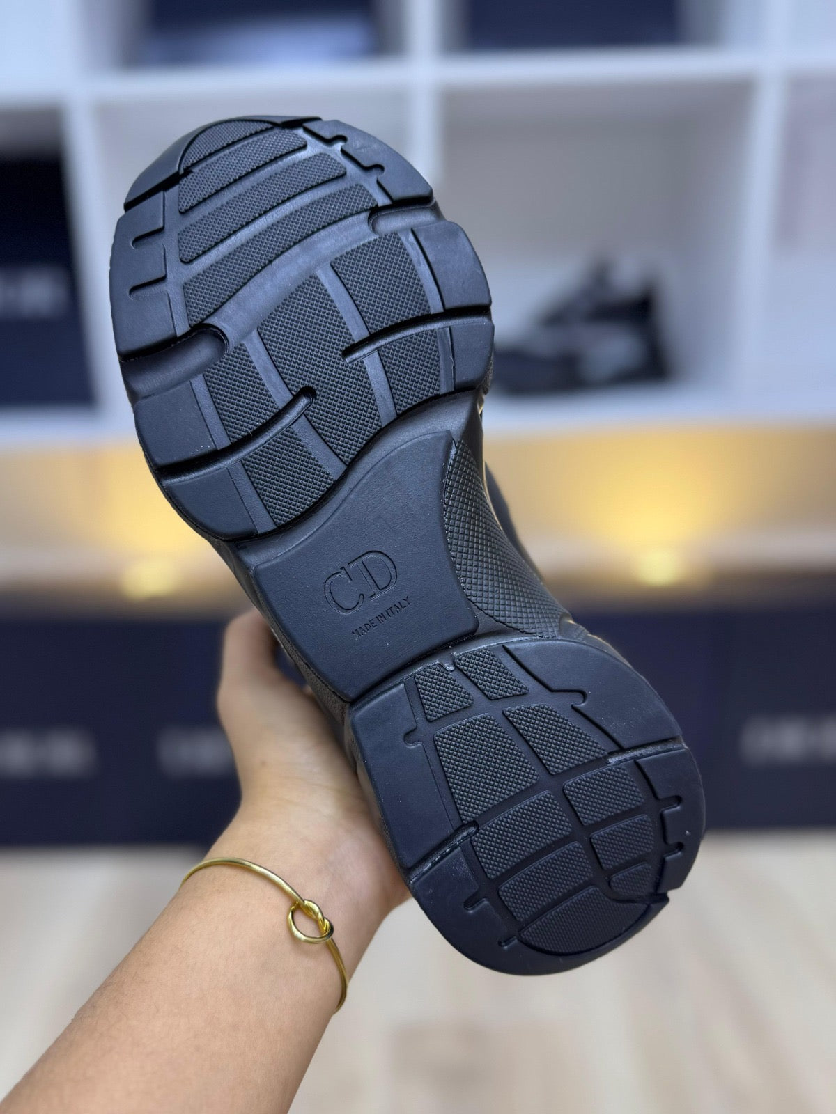 DIOR B22