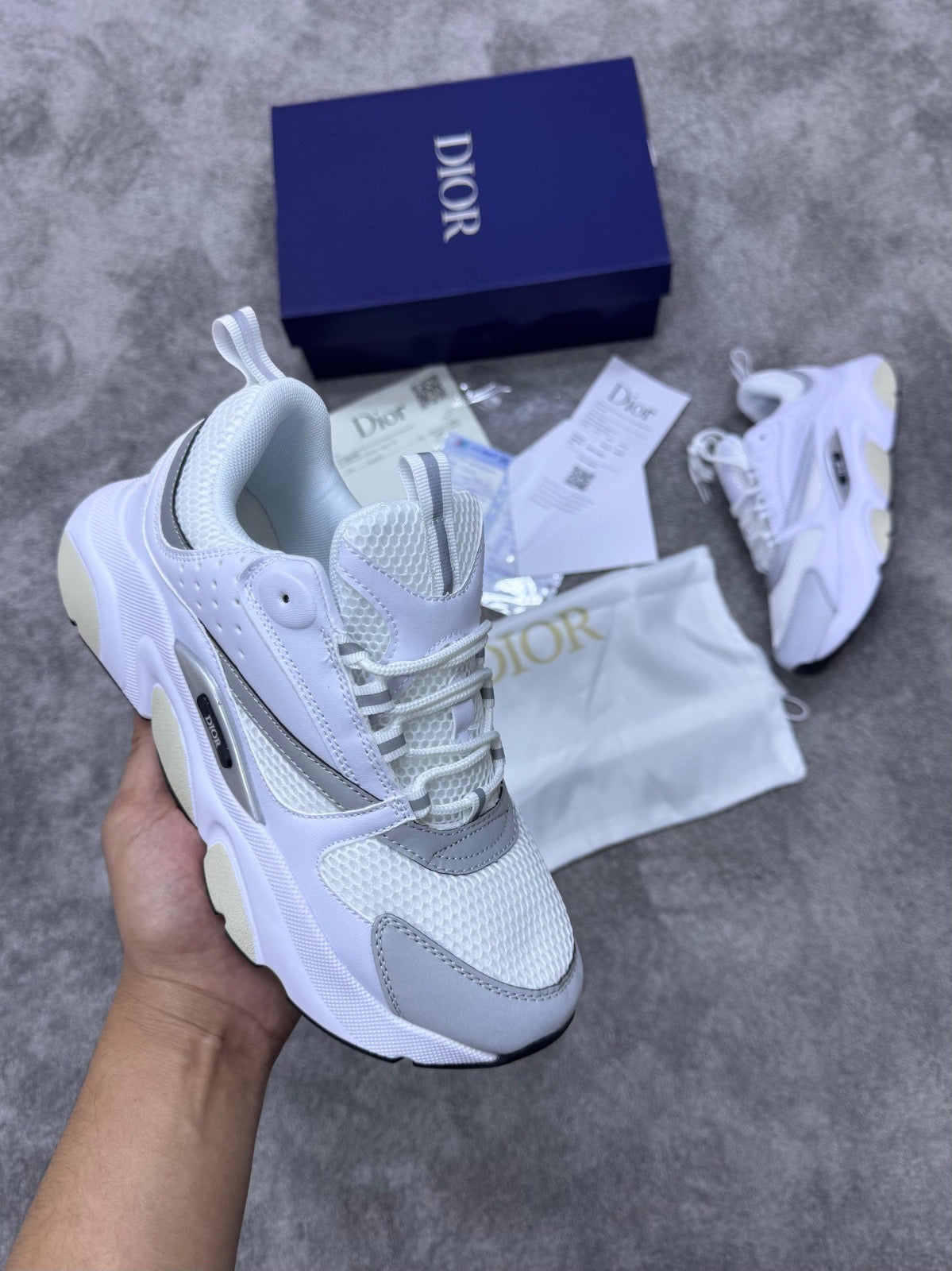 DIOR B22